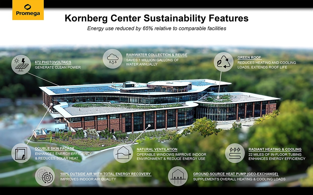 24631912-kornberg-infographic-image-min