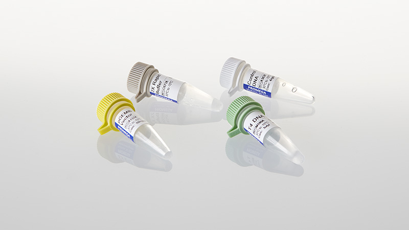 A1360-pgem-t-easy-vector-system