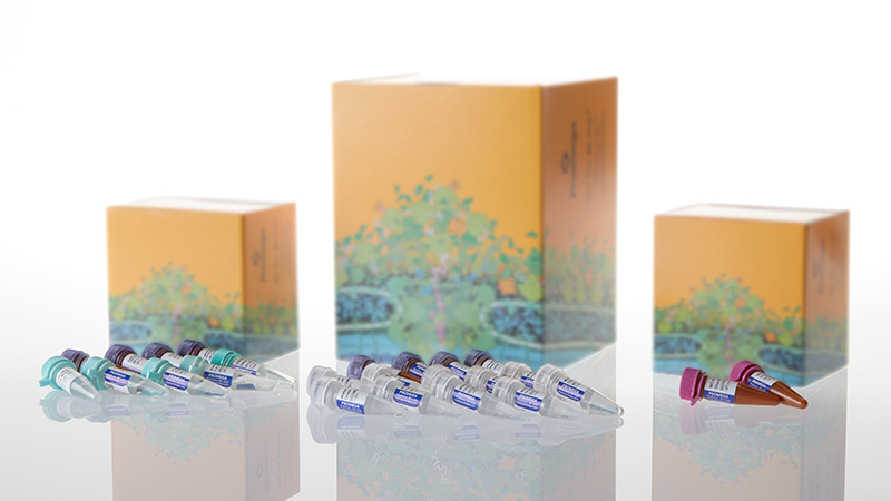 DC1710_PowerPlex--ESX-17-Fast-System--400rxn