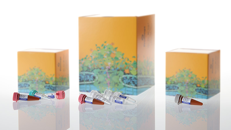 DC2101_PowerPlex--16-HS-System--100rxn