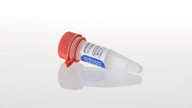 pFN29 and pFC30 His6HaloTag® T7 Flexi® Vectors