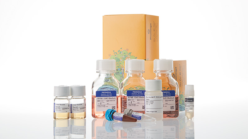 ja1221-raji-ldh-hibit-cd19-ko-tck-bioassay