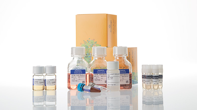 ja1315-raji-ldh-hibit-tck-bioassay-5x