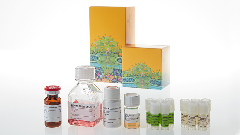 JA6105_CD28-Blockade-Bioassay-5X_3