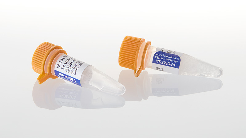 M1701_M-MLV-Reverse-Transcriptase--10-000u_3