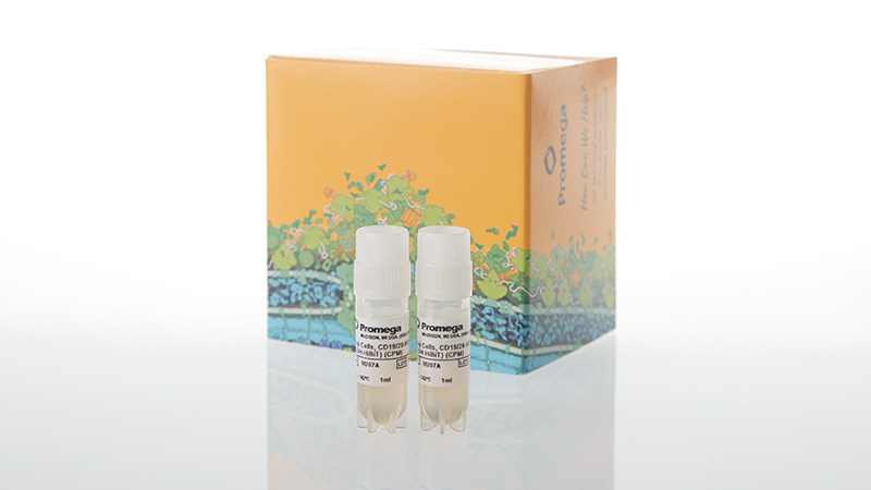 m2072-raji-ldh-hibit-cd19-20-ko-tck-bioassay-propagation-model