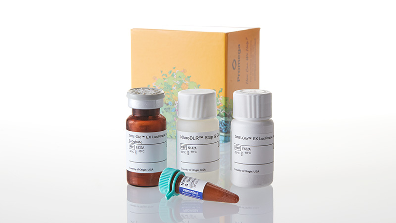 N1610_Nano-Glo--Dual-Luciferase--Reporter-Assa_3