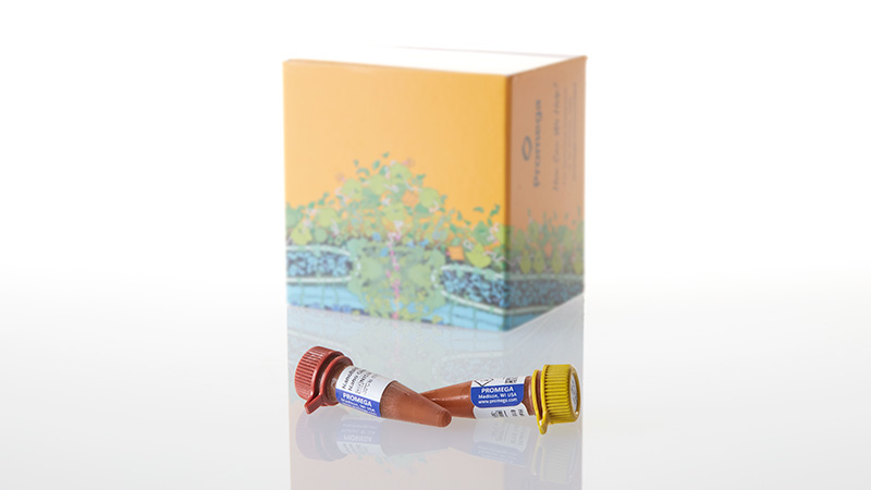 N1661_NanoBRET--Nano-Glo--Det-Sys-200-Assay_3