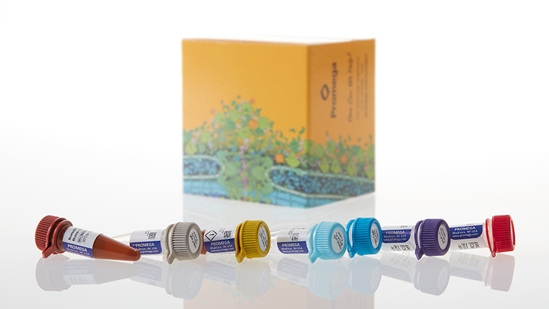 ND2690_NanoBRET--Ubiquitination-Starter-Kit_3