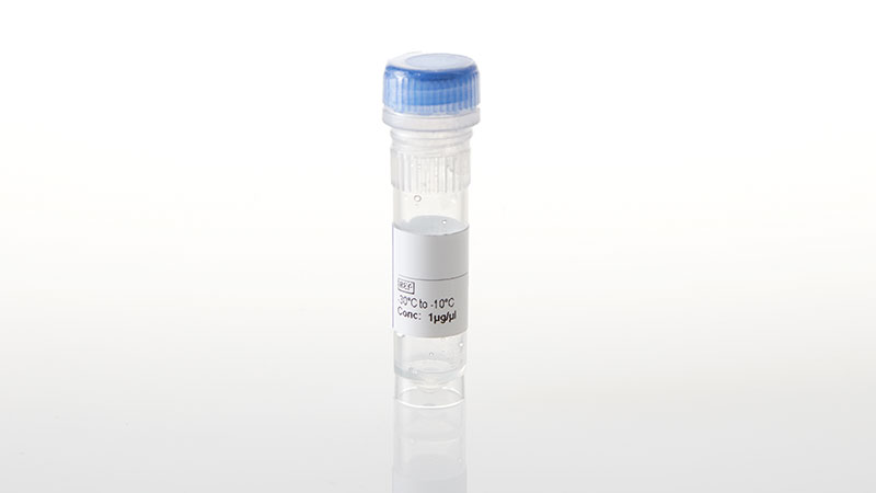 NV3591_MET-Y1235D--NanoLuc-