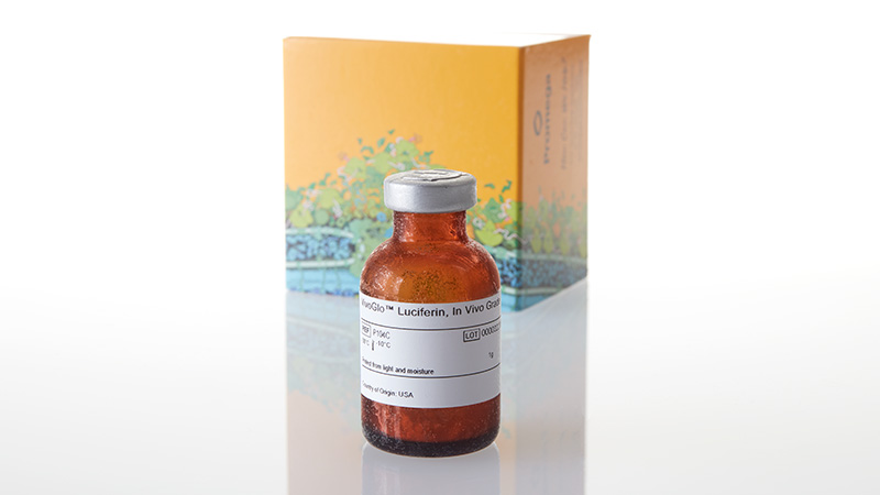P1043_VivoGlo--Luciferin--In-Vivo-Grade--1g_3