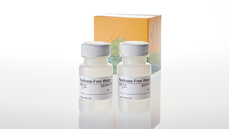 Nuclease-Free