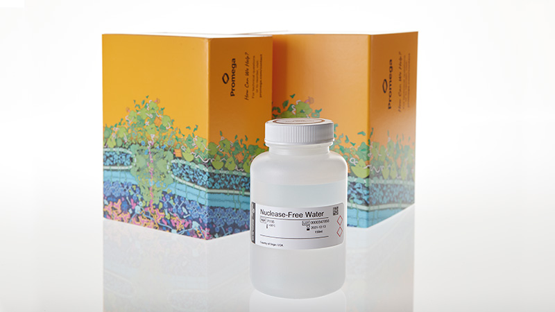 Nuclease-Free Water 150ml