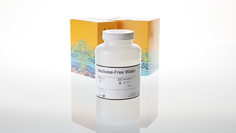 Nuclease-Free