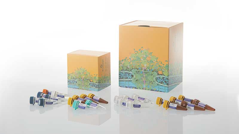 rs2720-paradyme-27gy-str-system