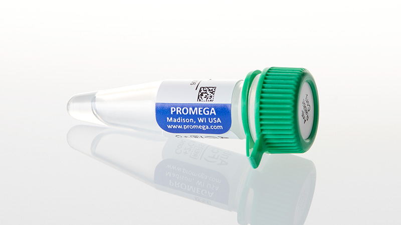 S3731_Anti-Rabbit-IgG-AP-Conjugate--100ul_3