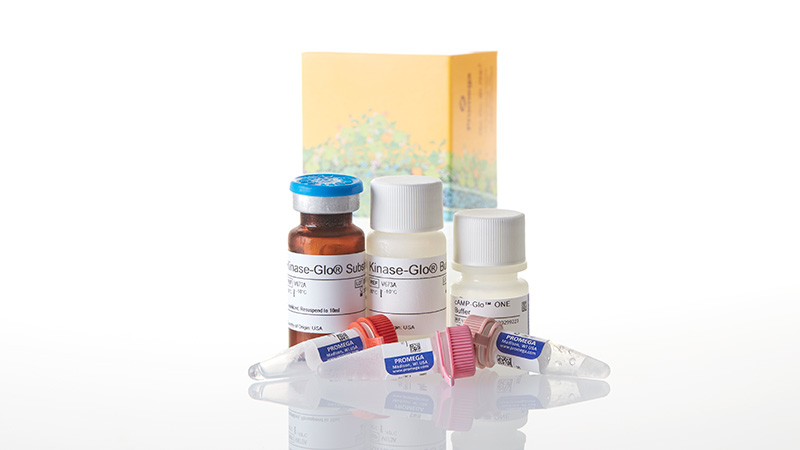 V1681_cAMP-Glo--Max-Assay-2-Plates