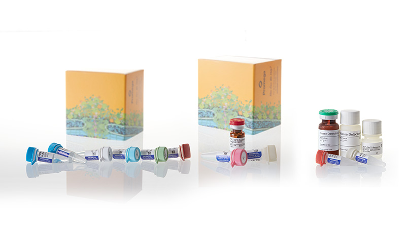 V1690_PI3K-Lipid-Kinases