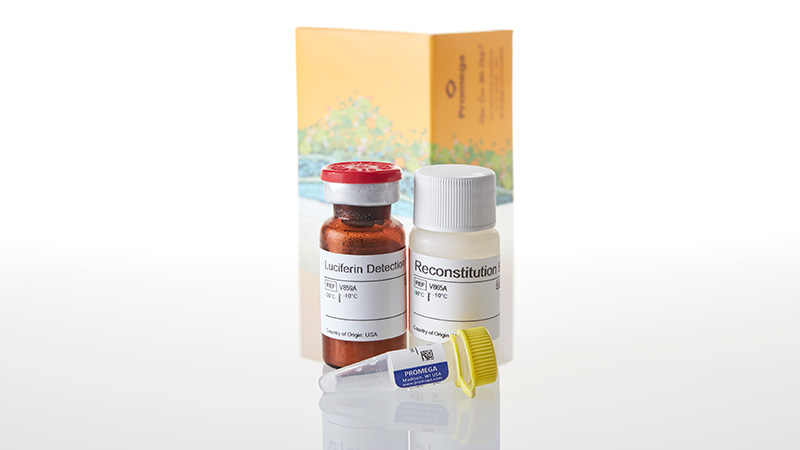 V8791_P450-Glo--CYP2C9-Assay--10ml_3