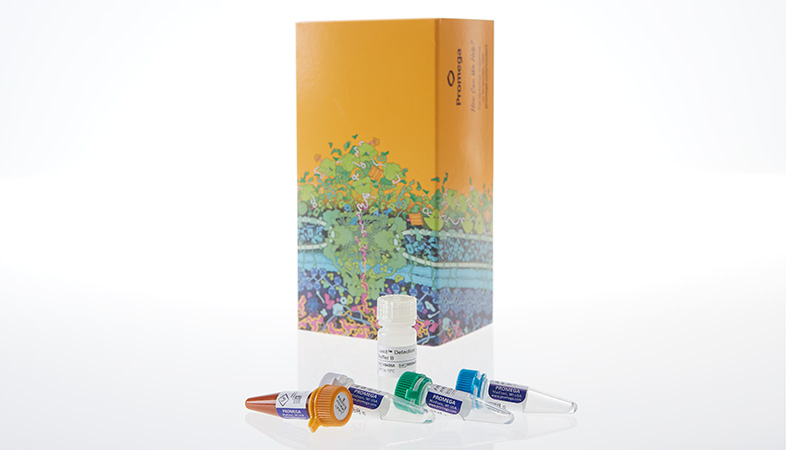 W6010_Lumit-Human-IL-1beta-Immunoassay_3