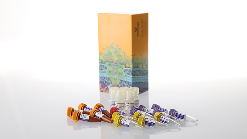 w6032-lumit-il-6-human-immunoassay-500-assays