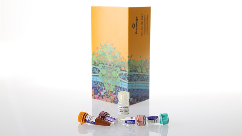 w6060-lumit-il-4-human-immunoassay-100-assays