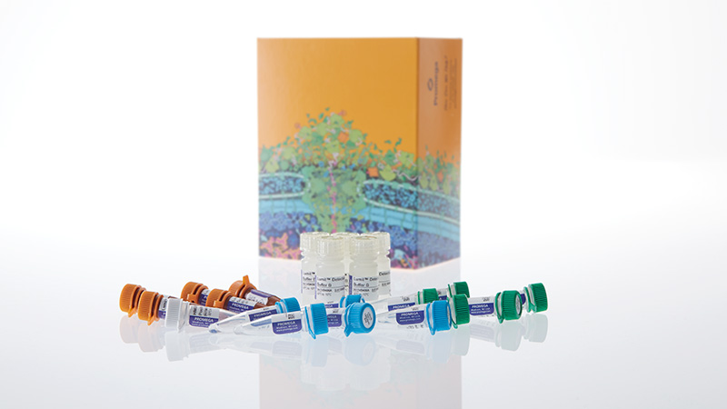 w6112lumithmgb1humanmouseimmunoassay3