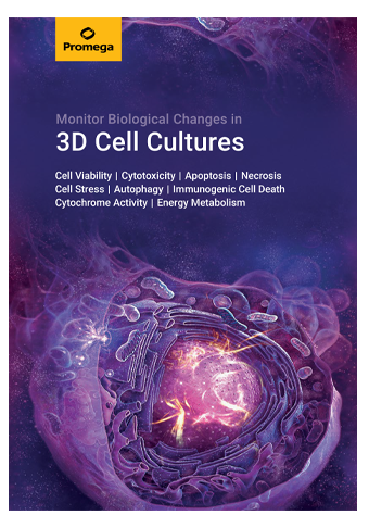 image-web-3d-uebersichts-broschuere