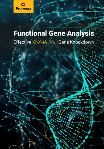 web-functionalgeneanalysis