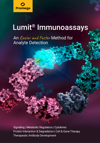 lumit-webpage-broschuere