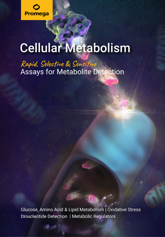 webpage-metabolism-broschuere