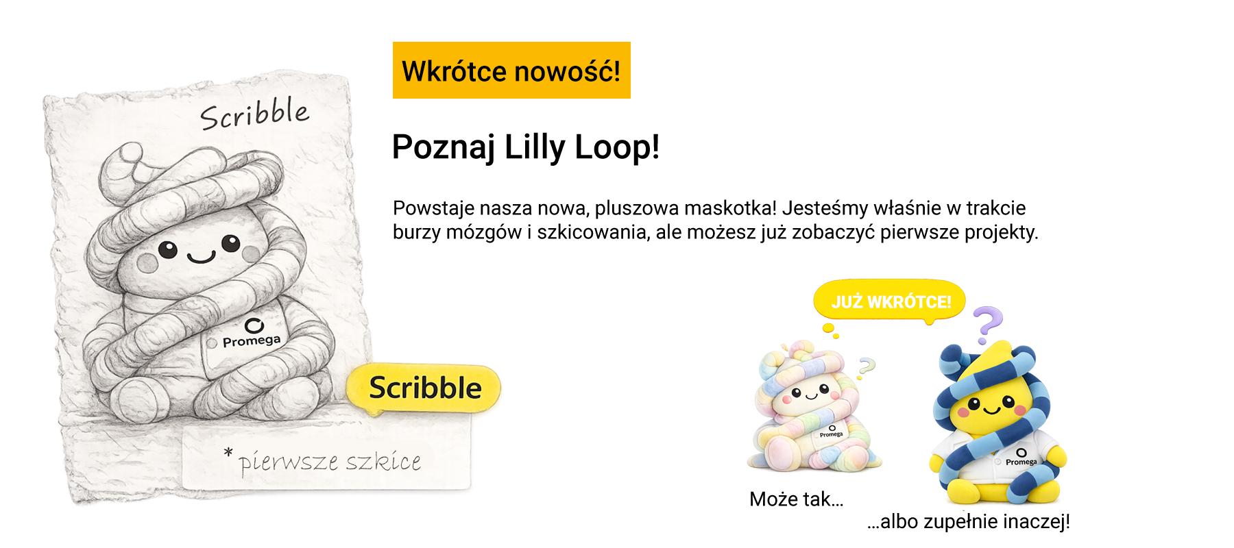 lilly-loop-coming-soon-pl