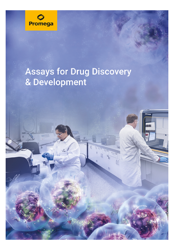 image-web-broschuere