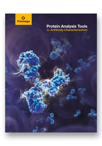 image-protein-analysis-tools-for-antibody-characterization
