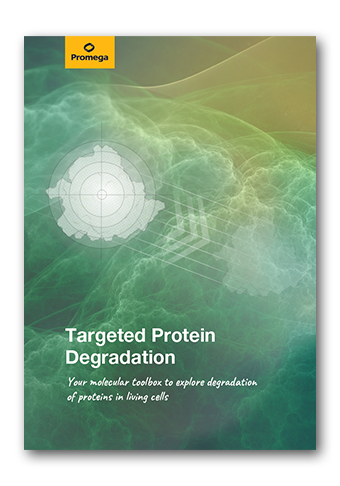 image-web-broschuere-targeted-protein