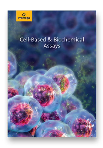 en-image-zellbasierte-und-biochemische-assays