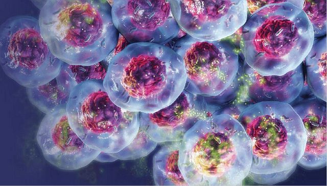 5-high-throughput-drug-screening-using-3d-cell-cultures