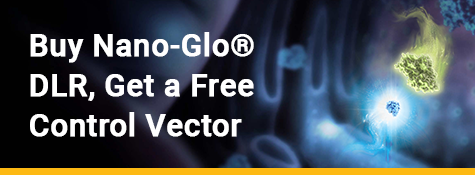 nano-glo-dlr