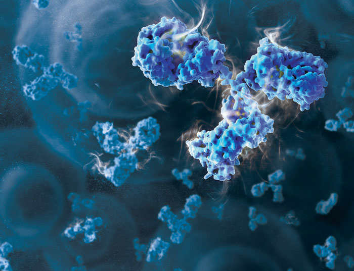 22591443-3d-antibody-700x537