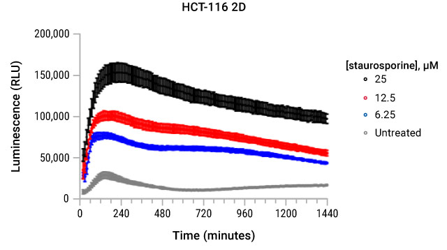 Compatible with 2D Cell Models