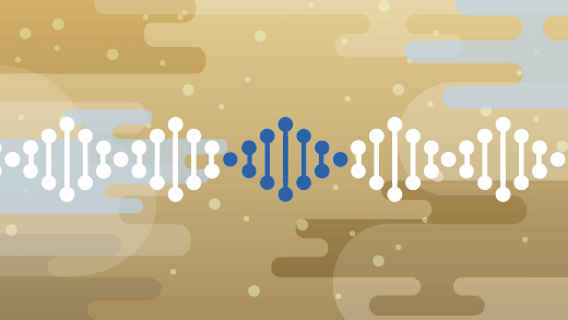 hibitrdpaperreviewfeaturedcontentgeneric520x293