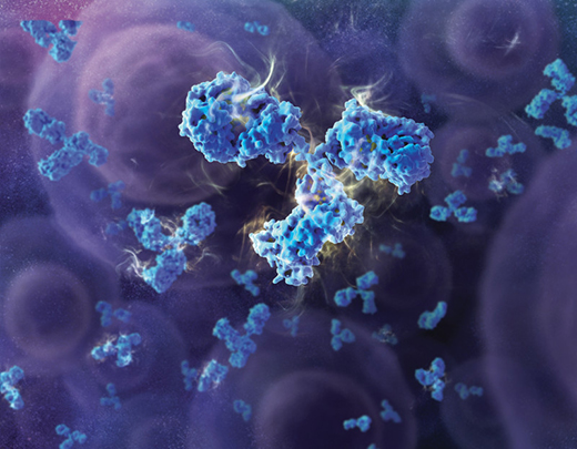 3d-antibody-520x405-rr
