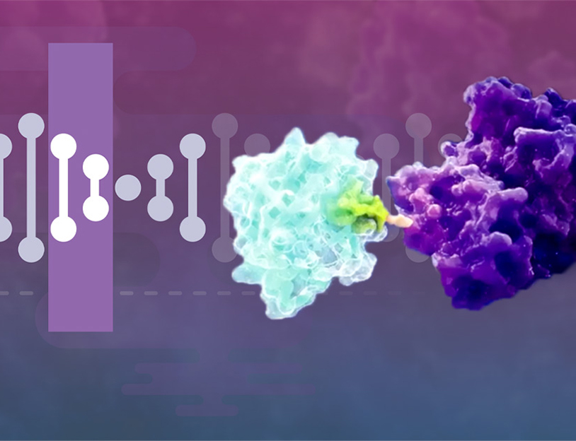 crispr-illustration-rr-814x624