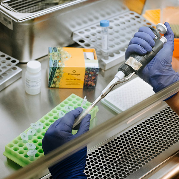 Lumit® Immunoassay Cellular Systems