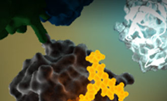 NanoBRET uses HaloTag for BRET resource